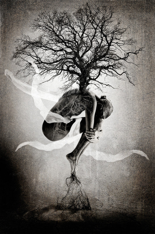 Ma'rifat Dalam Keberhasilan erik brede tree of life 1024x1024