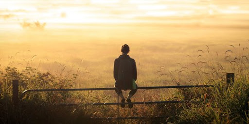 Unnamed Ygk3guLxl5Avok6w