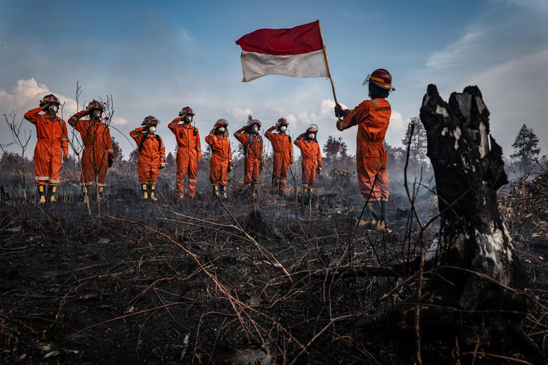 5 Akar Krisis Masyarakat Modern Indonesia forest fires in central kalimantan