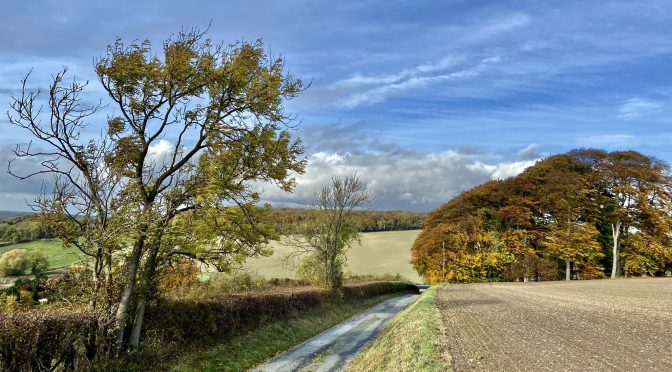 Hidup Dewasa Penuh Makna img 20221029 034755 672x372