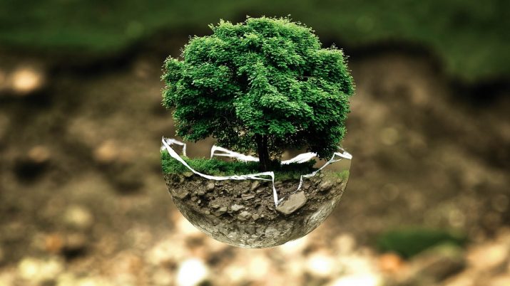 environmental protection 683437 1280 e1711352465894